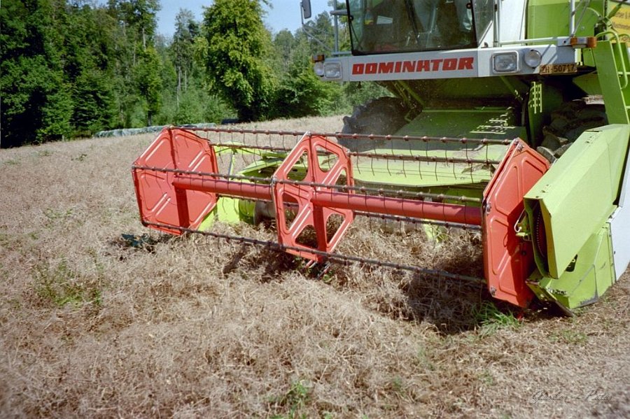 Claas Drescher 16
